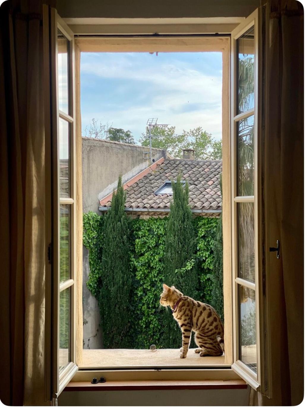 Le Figuier Apartment Beauvoisin  Bagian luar foto